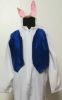 Kids Costumes to Hire - White Rabbie (Alice in Wonderland) Onesie, waistcoat, ears